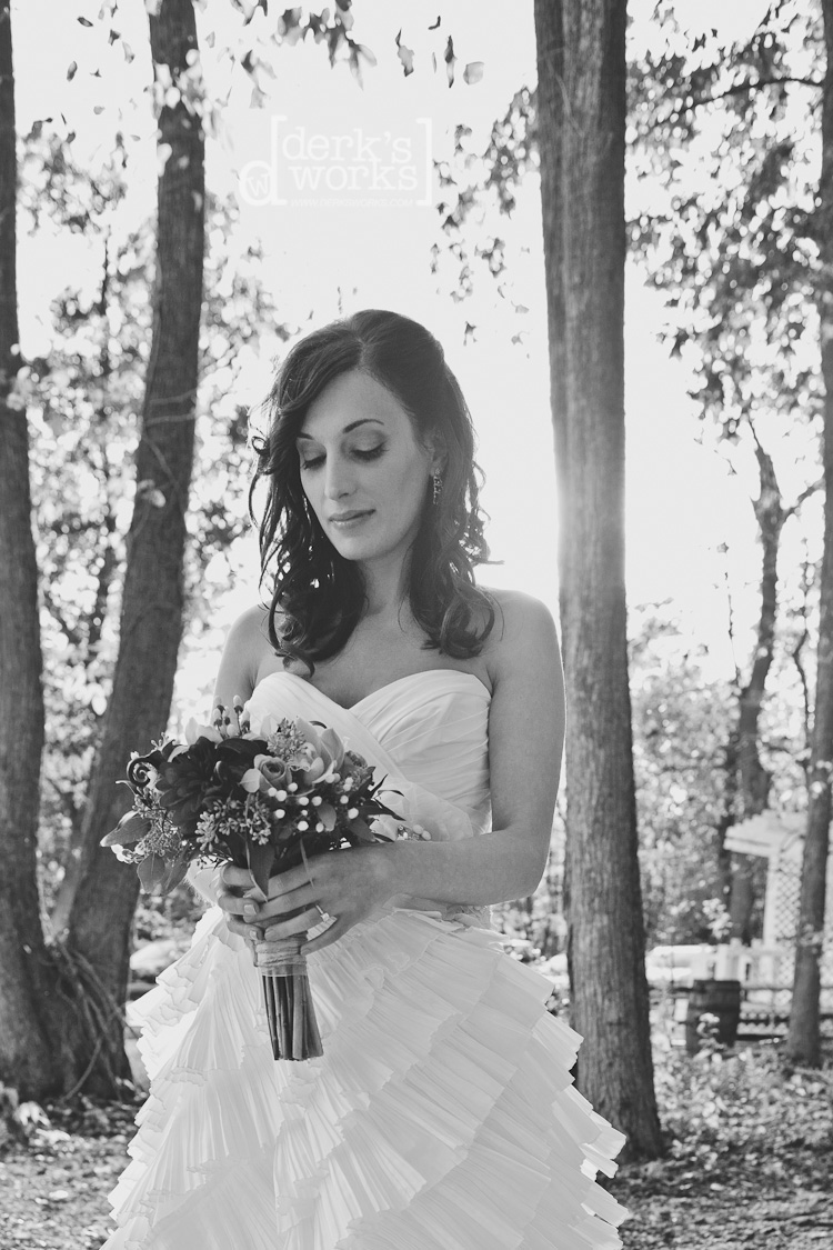 artisticweddingphotography 102211_derksworks013 bridal portriat