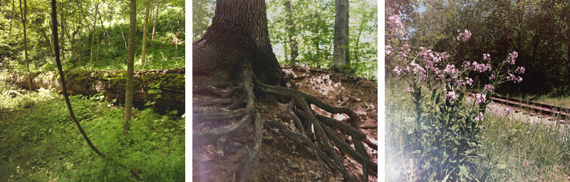 Hasselblad Film-2012-04-002