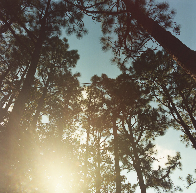 Hasselblad Film-2012-04-004