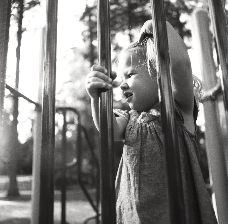 Hasselblad Film-2012-04-007