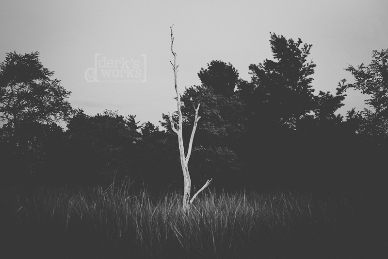 DERKSWORKS003-20120814