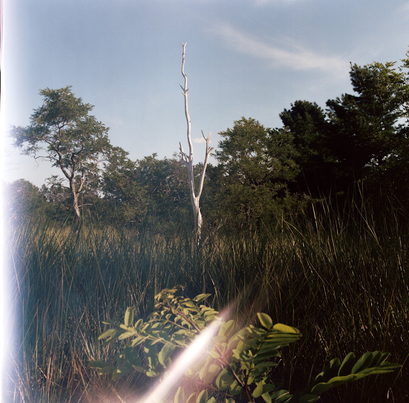 derksworks-HASSEL20120907_002