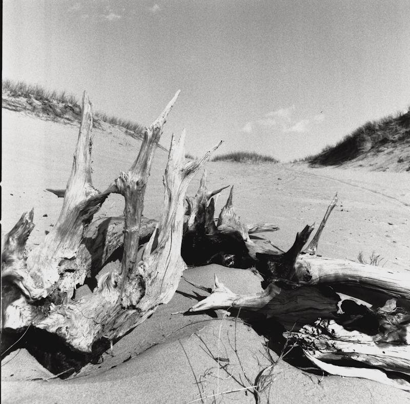 derksworks-HASSEL20120907_003