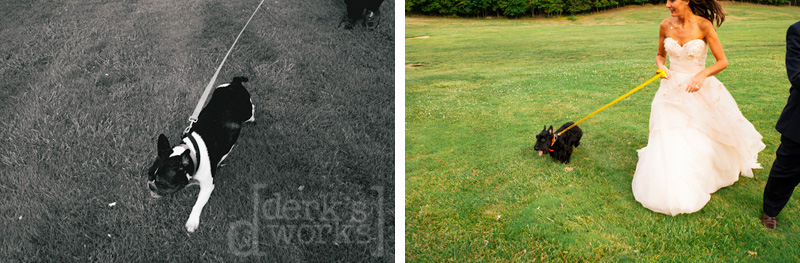 AwesomeWeddingPhotography-DerksWorks-20121003_003