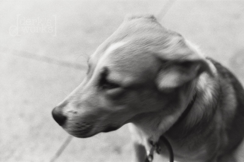 ColumbusPhotographer-around town-FILM20130125-001