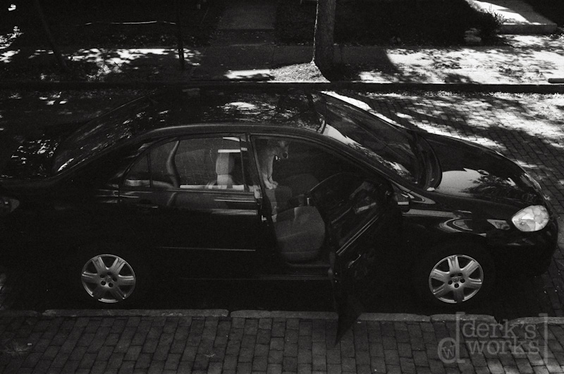 ColumbusPhotographer-around town-FILM20130125-004