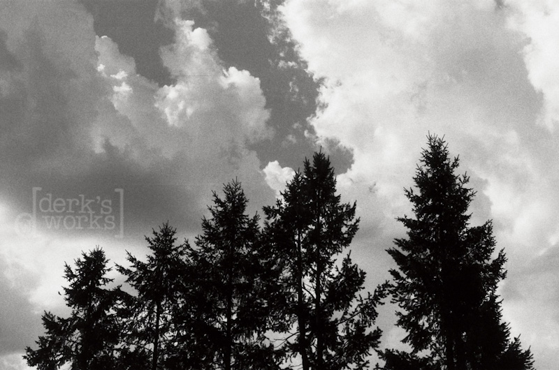 ColumbusPhotographer-around town-FILM20130125-005