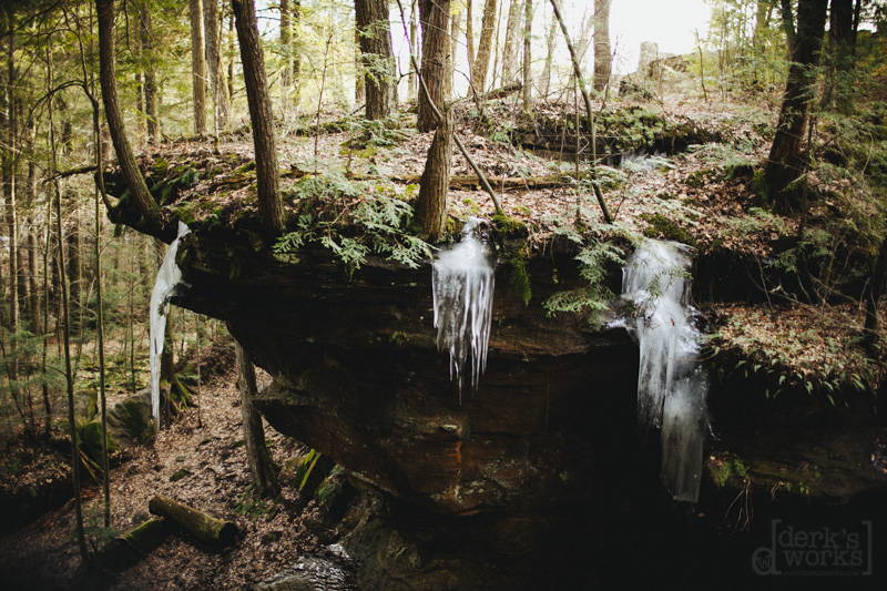 DWAdamsBachelorParty029