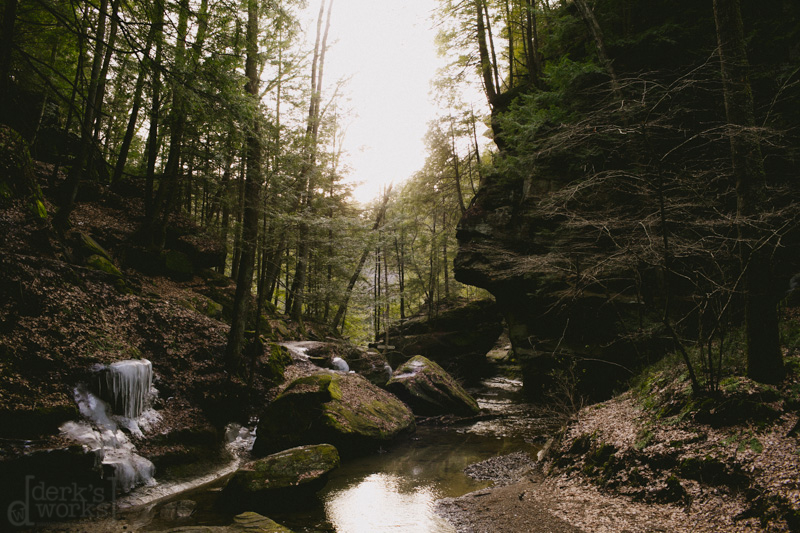 DWAdamsBachelorParty037