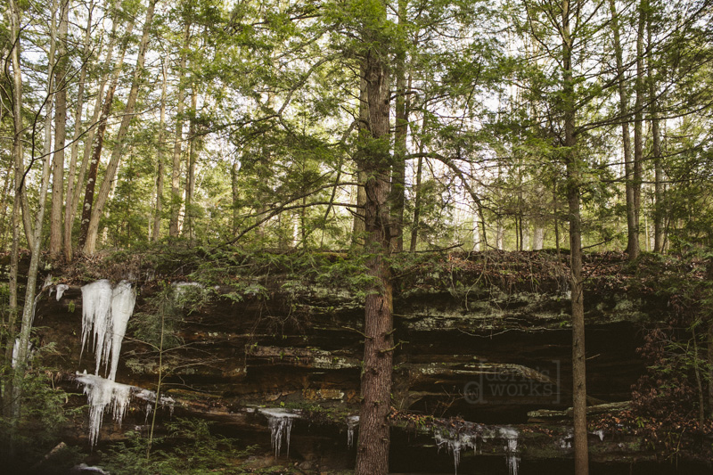 DWAdamsBachelorParty045