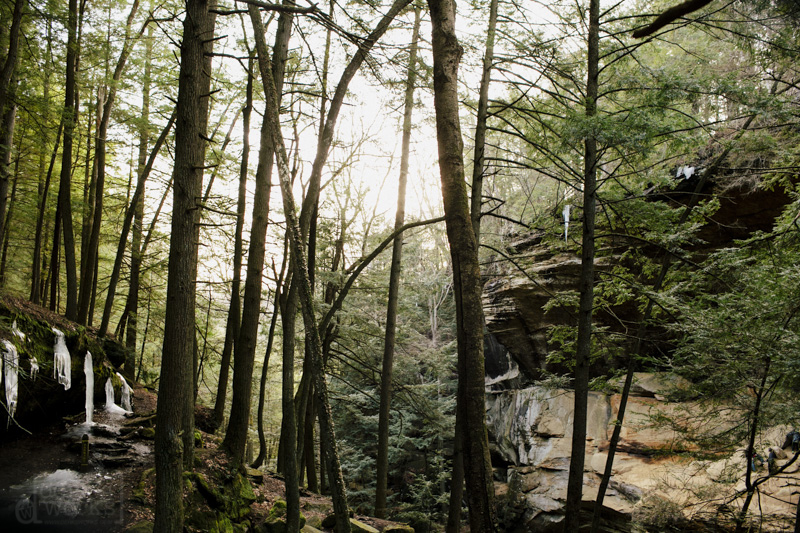 DWAdamsBachelorParty046