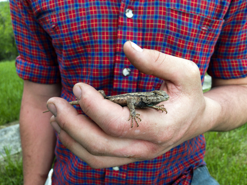 DW YDS Ax Camp 2013-069