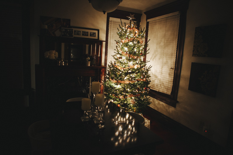 Derks Works - Christmas Tree Chopping Photography20131209-173