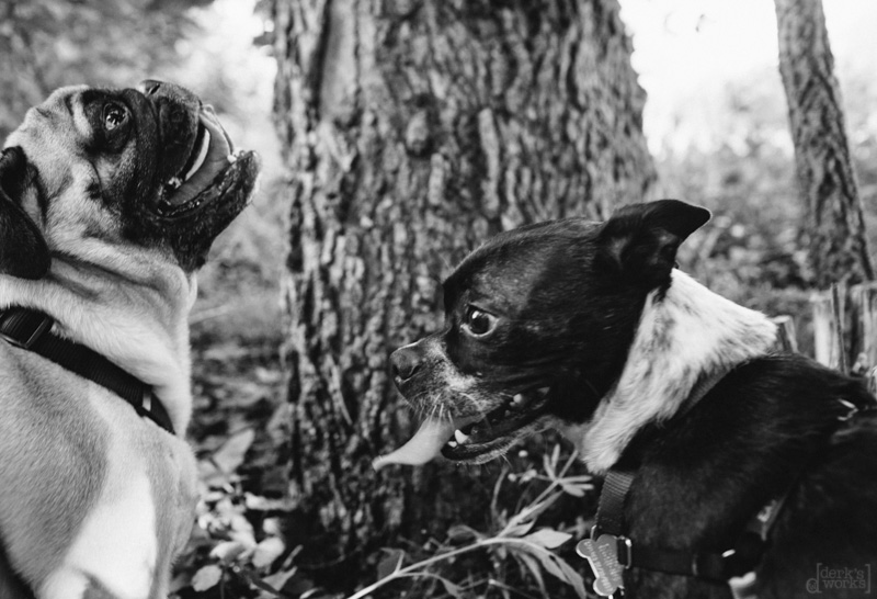 Derks Works - Awesome Photography 20140606_735