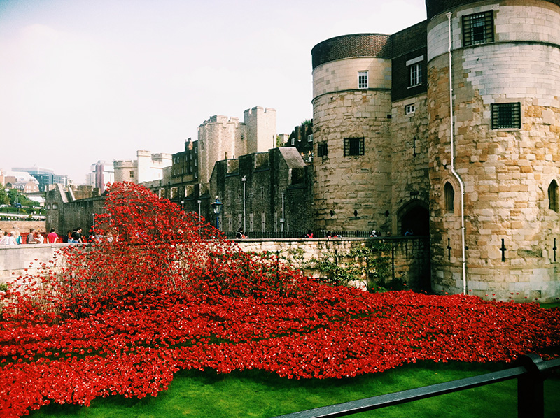 Processed with VSCOcam with c1 preset