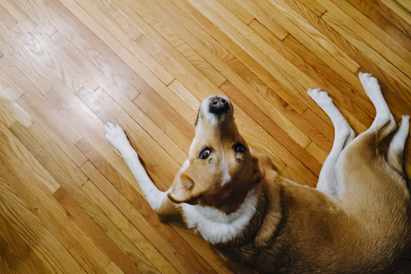 Micro Harvest Dinner20141118_009