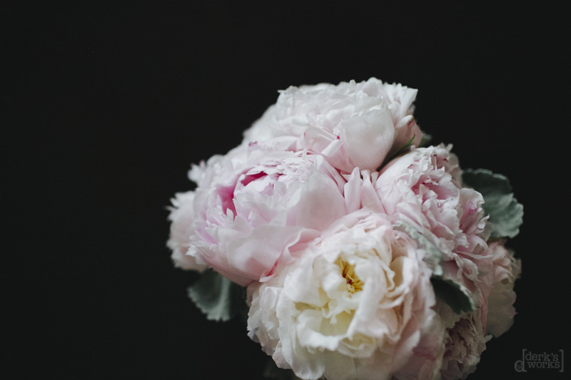 DerksWorksPhotography Floral Friday_012