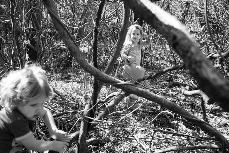 DerksWorksPhotography 20150318_002