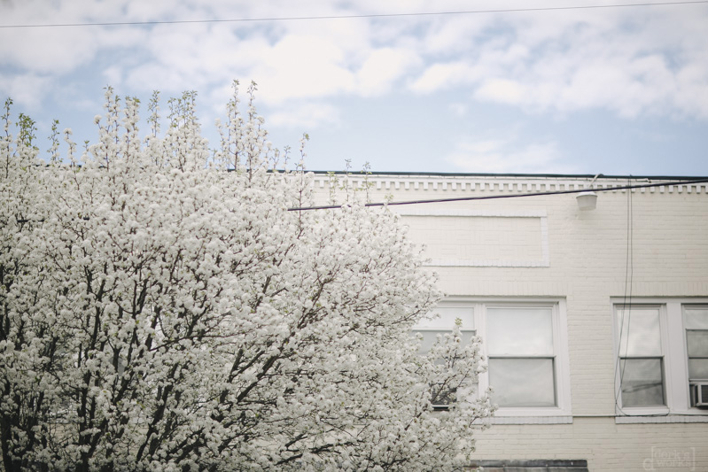 DerksWorksPhotography 20150318_024