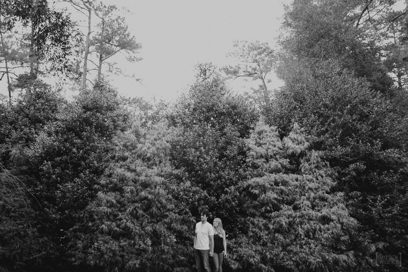 DerksWorksPhotography 20150318_042