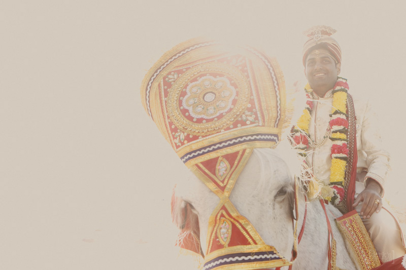 Anil & Sreeja FULL DerksWorksPhotography 2015-0404_038