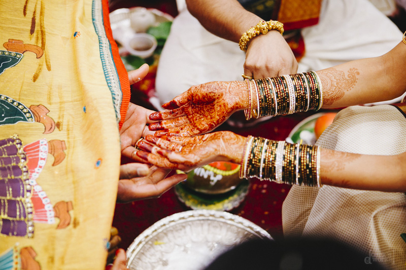Anil & Sreeja FULL DerksWorksPhotography 2015-0404_042