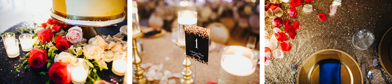 Anil & Sreeja FULL DerksWorksPhotography 2015-0404_066