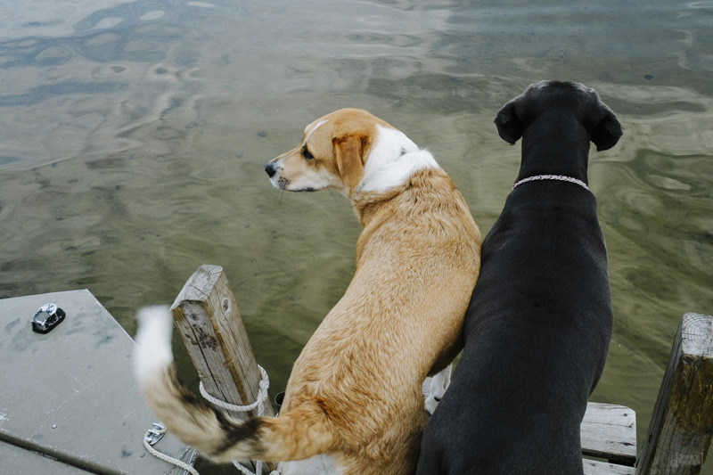 DerksWorks Photography UP Vacation 2015_005