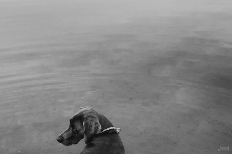 DerksWorks Photography UP Vacation 2015_011