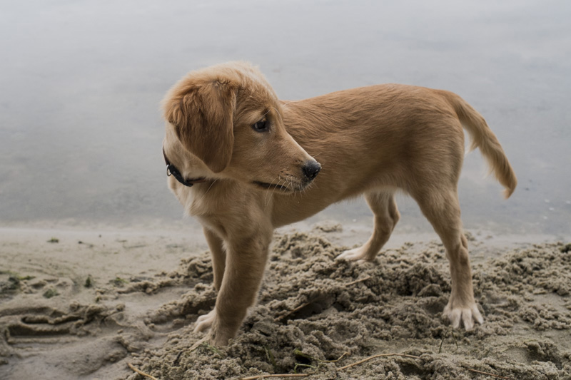 DerksWorks Photography UP Vacation 2015_018