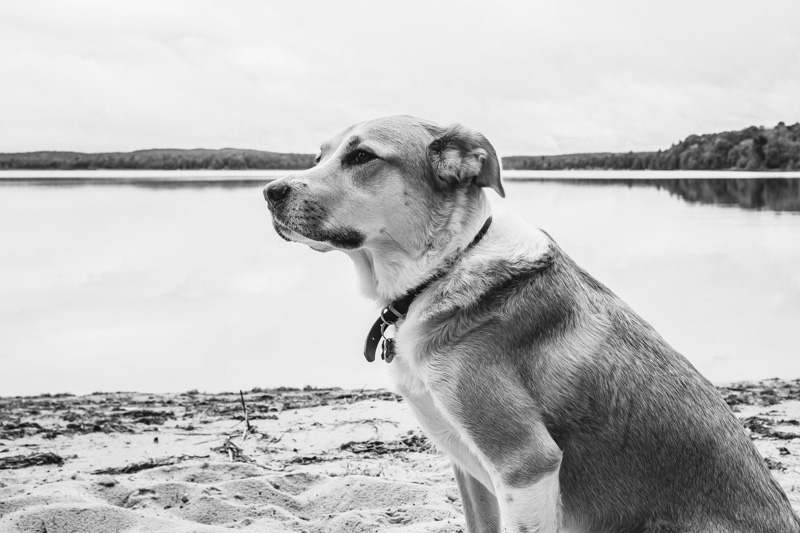 DerksWorks Photography UP Vacation 2015_040