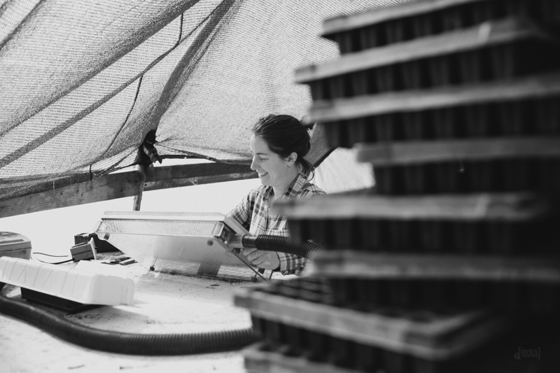 Derks Works Photography Sunny Meadows Flower Farm_020