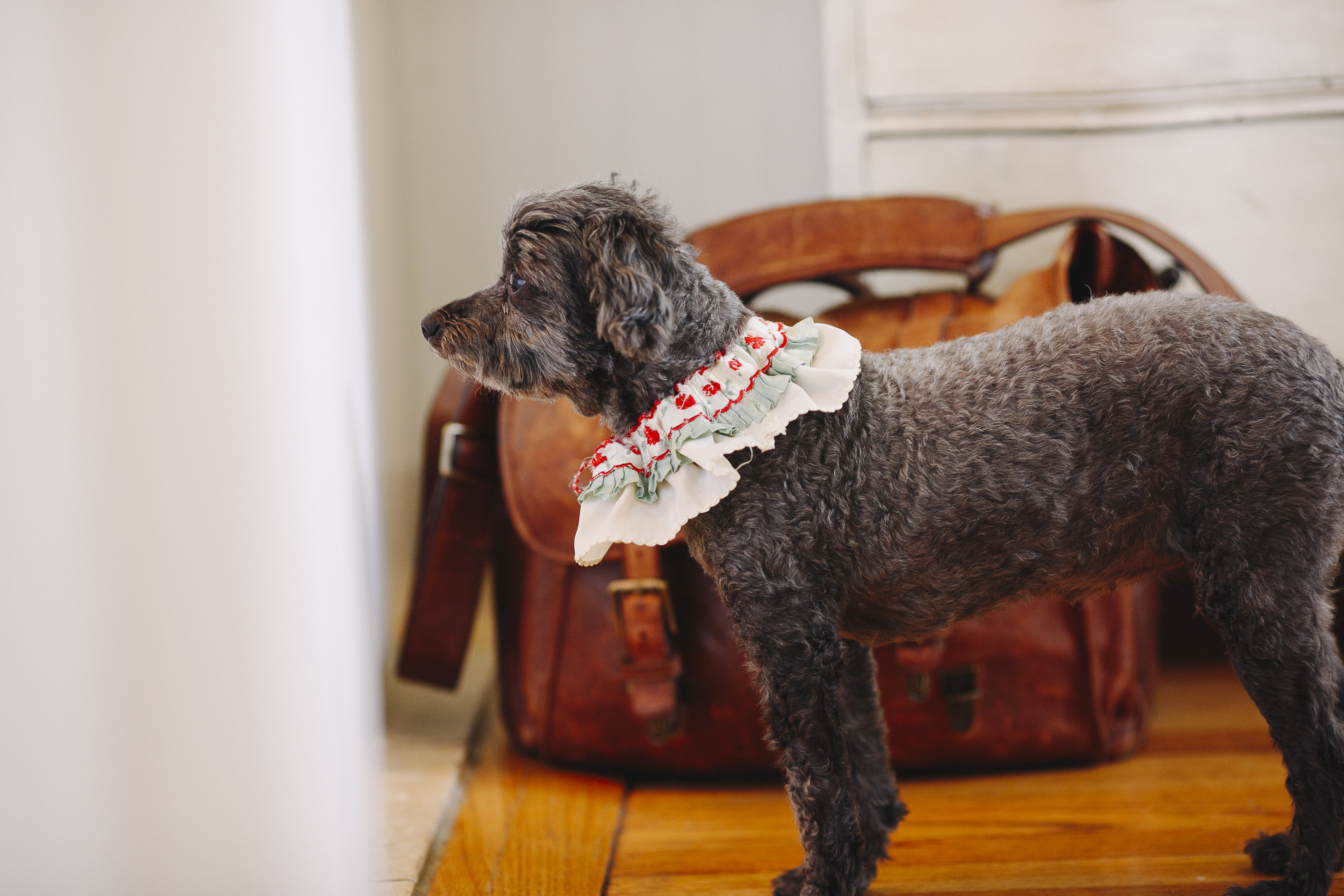 View More: http://derksworks.pass.us/2016-0730-greg--madison